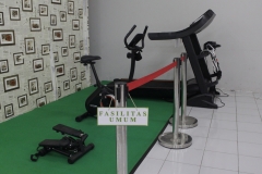 GYM MINI